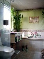 Живые растения в ванной комнате
